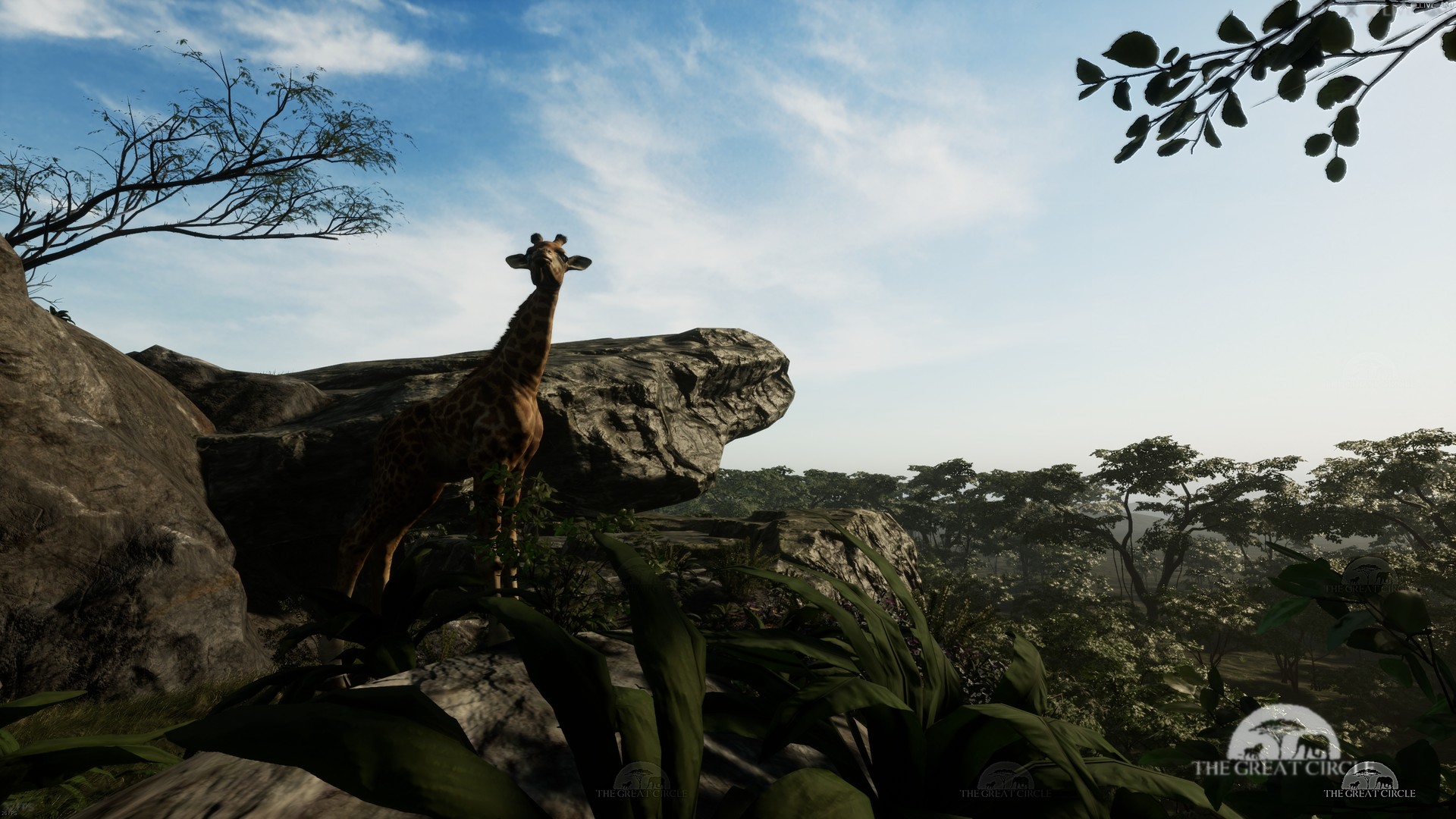 THE GREAT CIRCLE #14