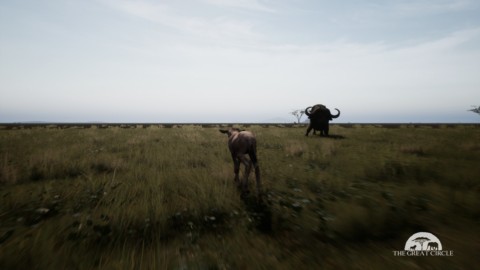 THE GREAT CIRCLE #20