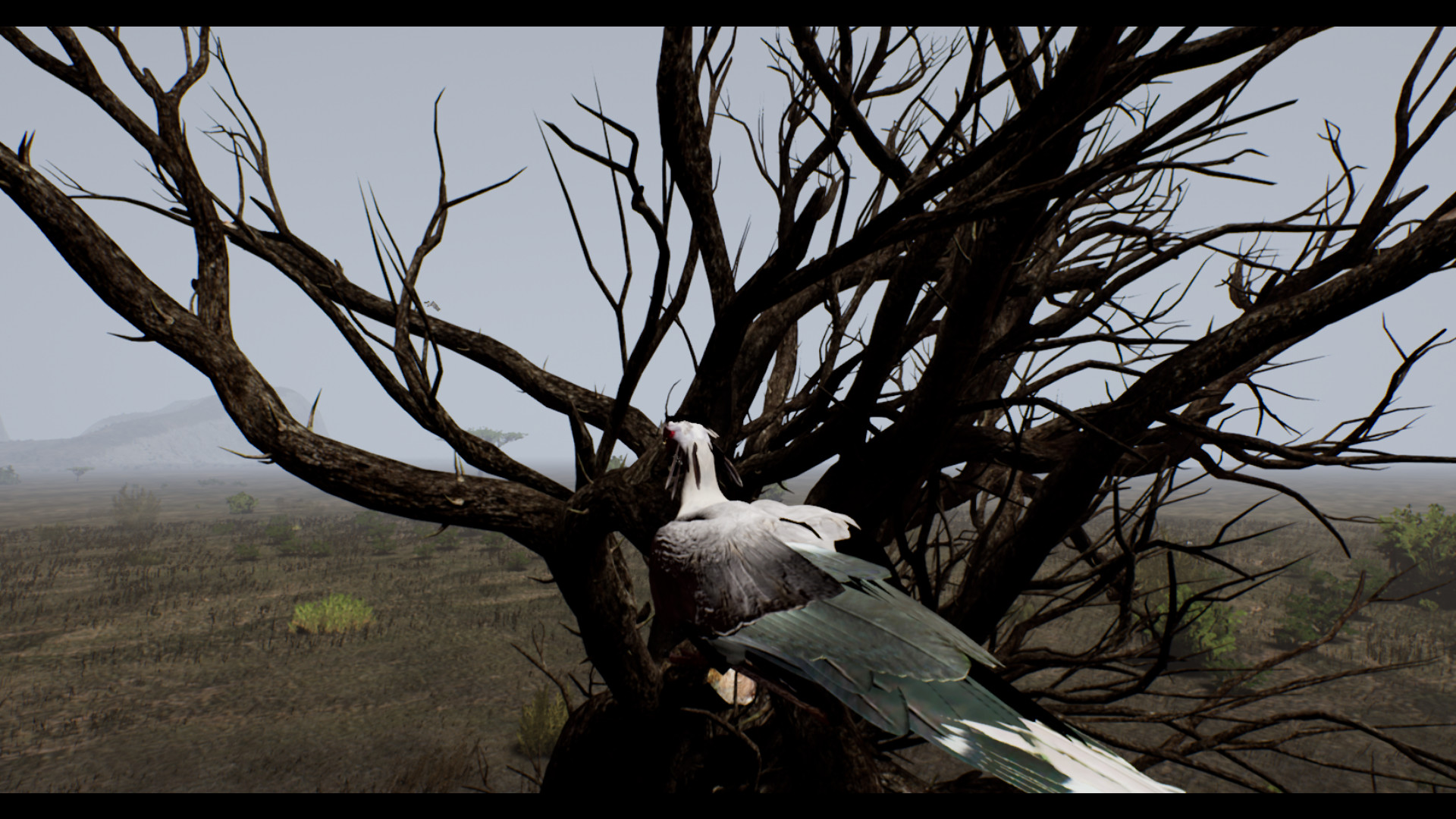 THE GREAT CIRCLE #15