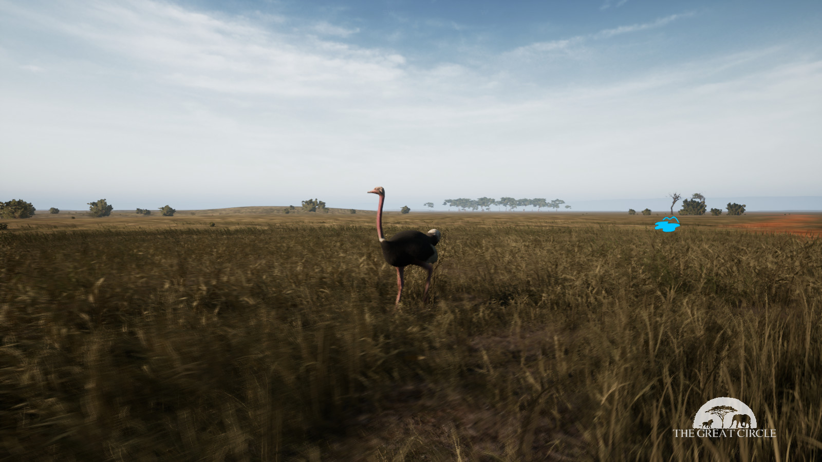 THE GREAT CIRCLE #17