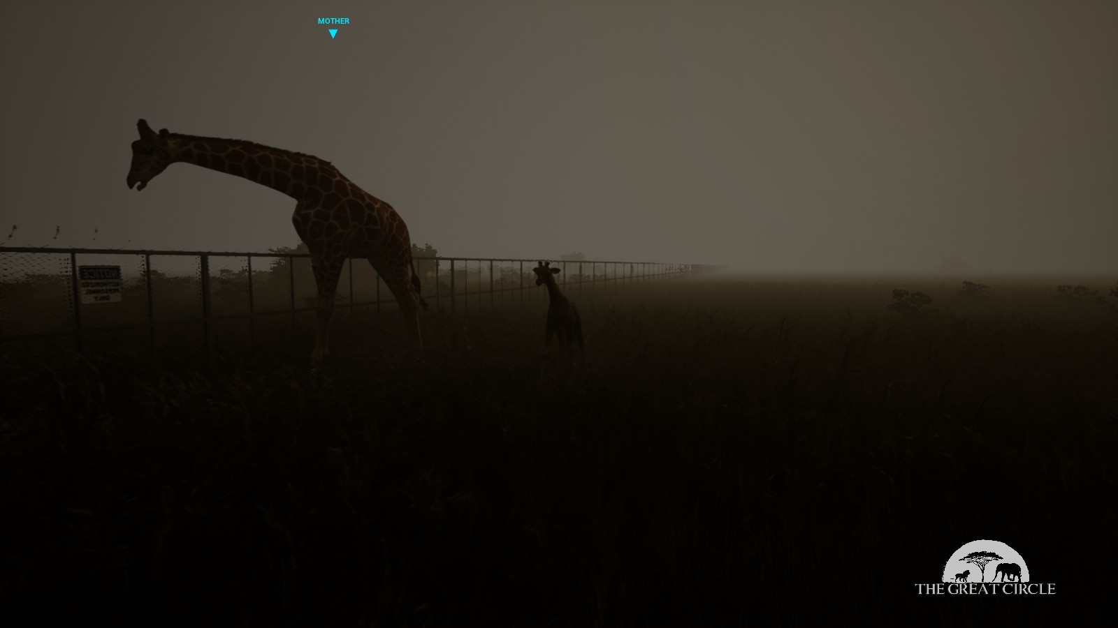 THE GREAT CIRCLE #19