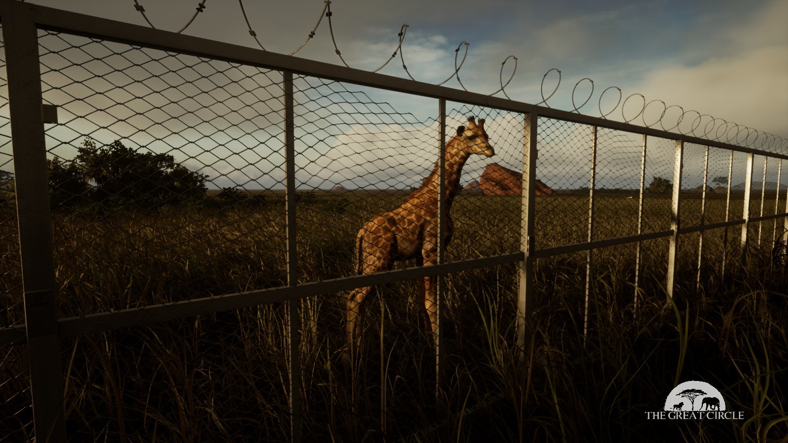 THE GREAT CIRCLE #18