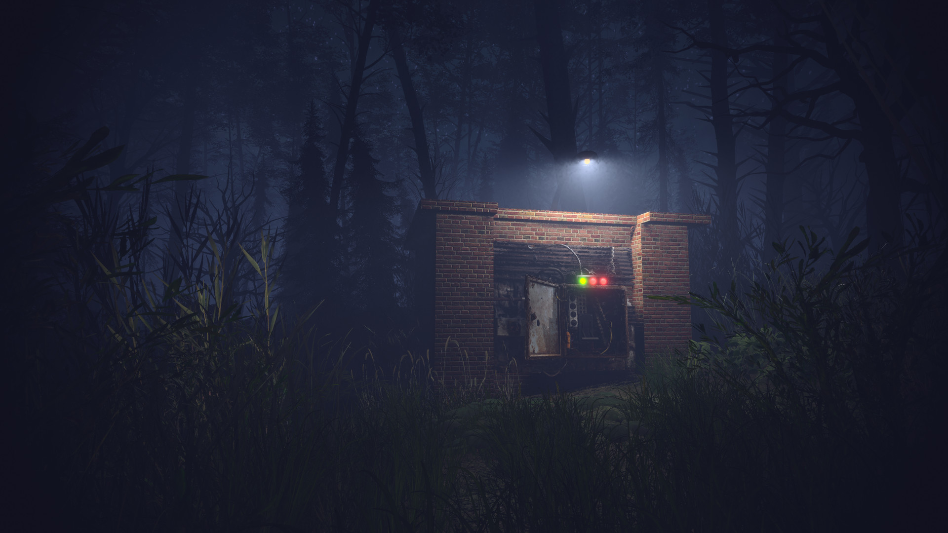 Light, Dark or Hrak? #4