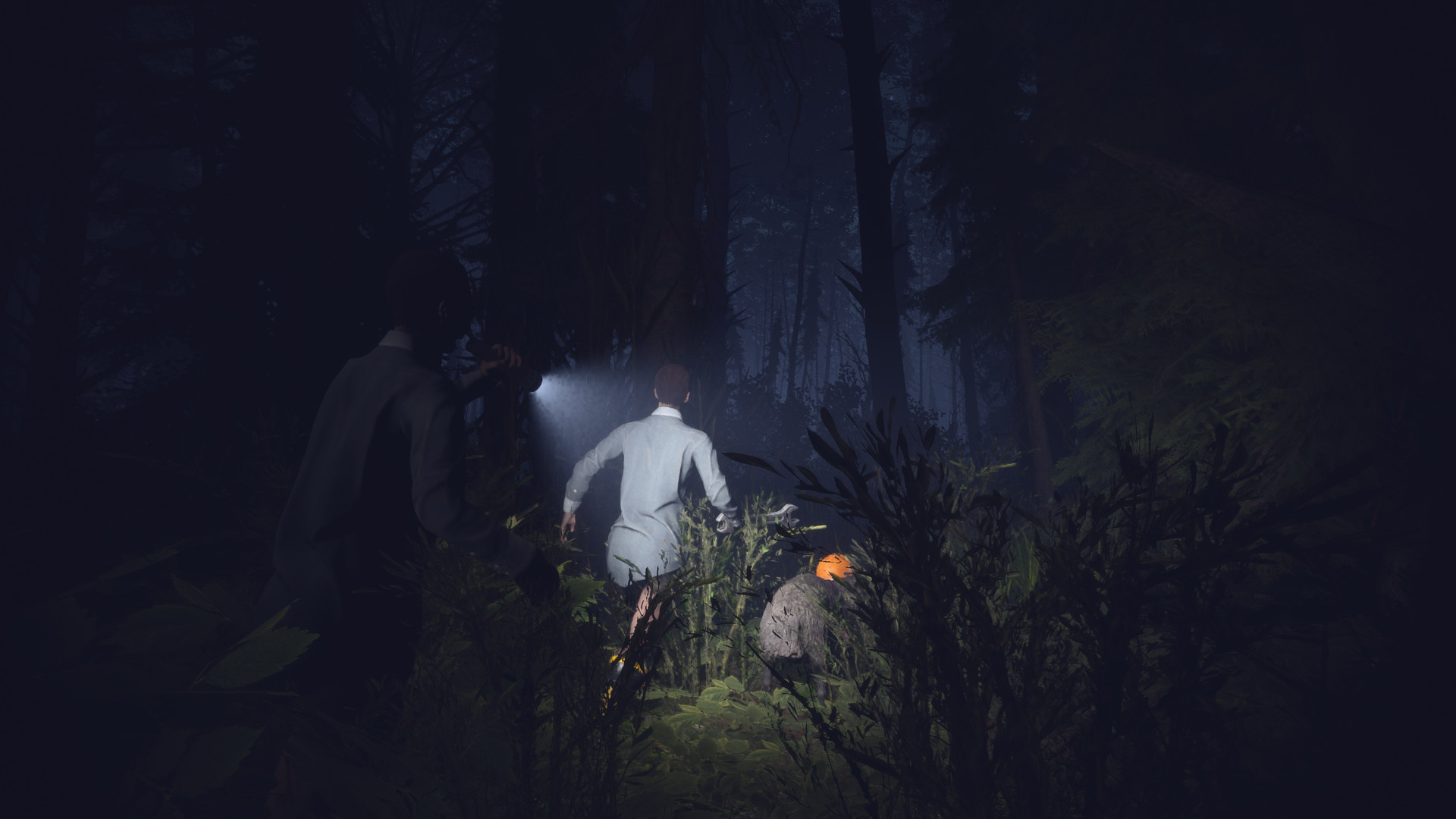 Light, Dark or Hrak? #5