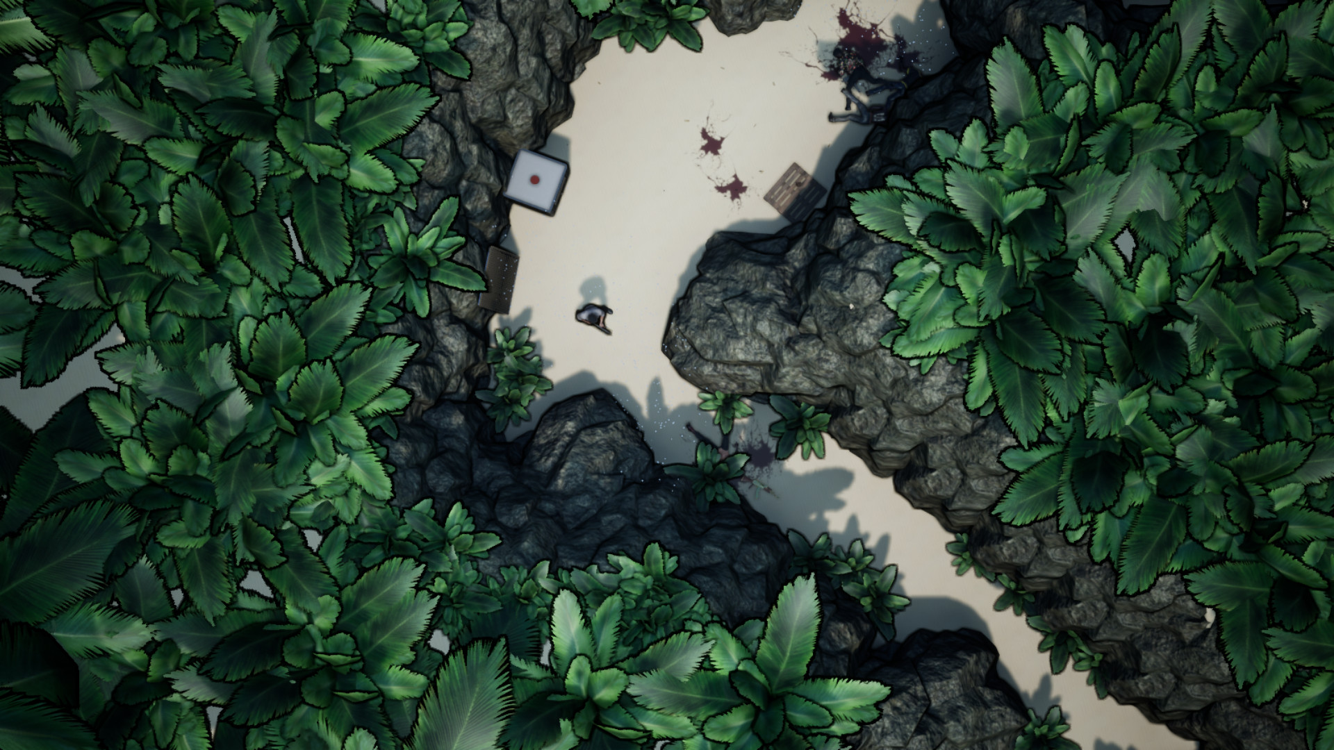 NORR part II: Will Walker #15