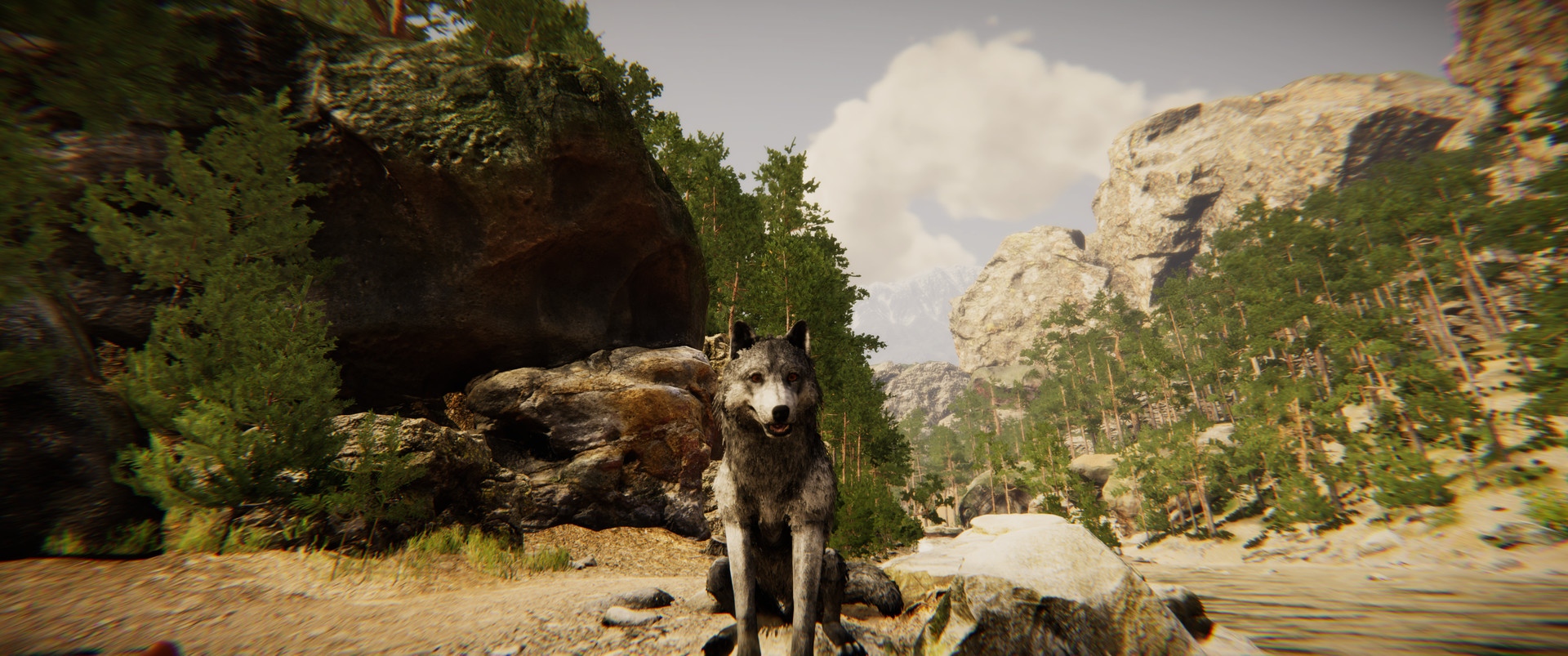 Animal Simulator on Steam Animal Simulator on Steam