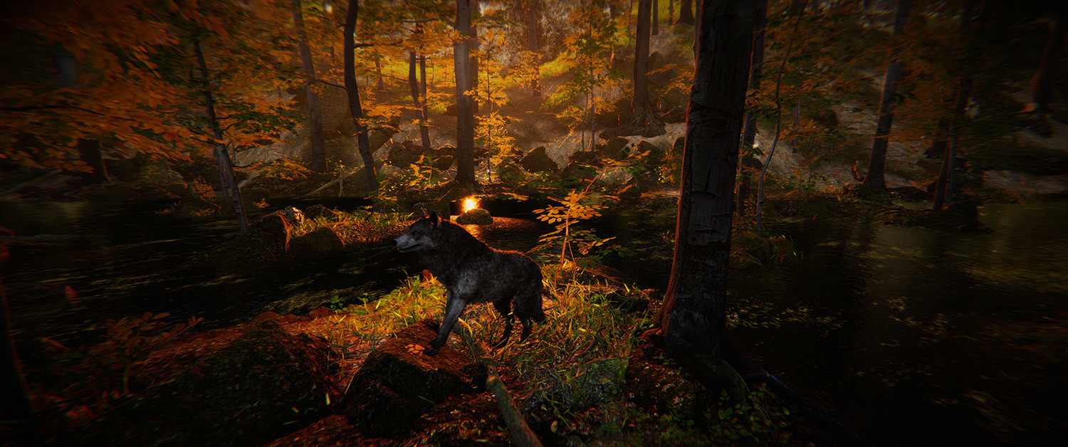 Animal Simulator #38