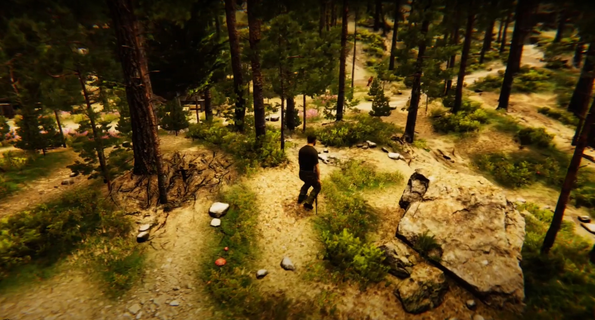 Animal Simulator #29