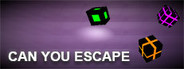 Can You Escape
