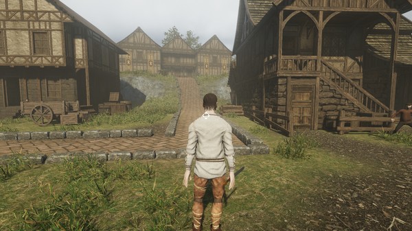 Ortharion : The Last Battlefor windows and Linux 1