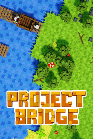 Project Bridge