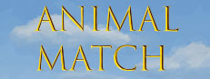 Animal Match 게임 이미지