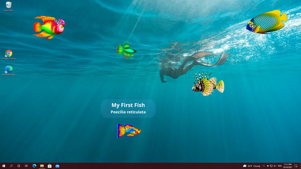 скриншот Virtual Aquarium - Overlay Desktop Game 0