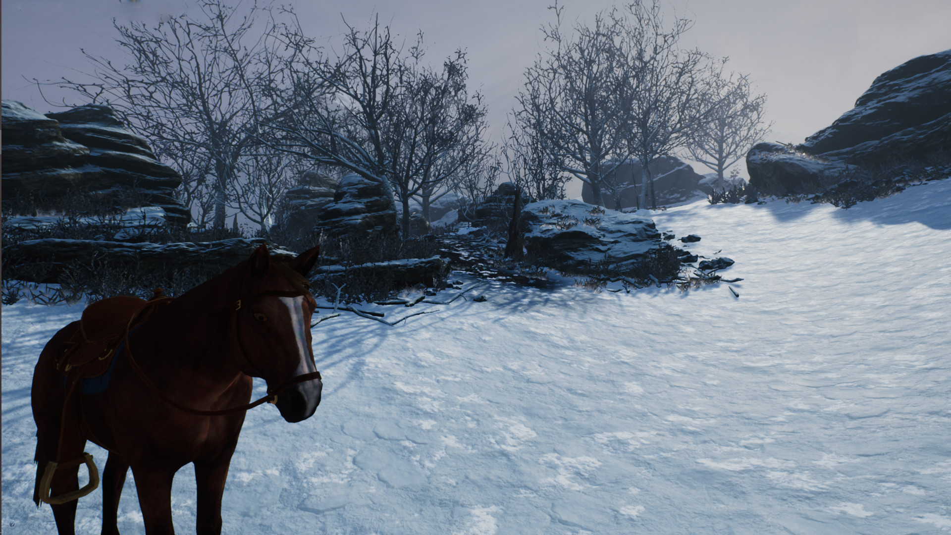 Steel Ball Race on Steam