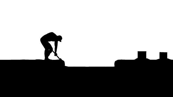 digfor windows and Linux 1