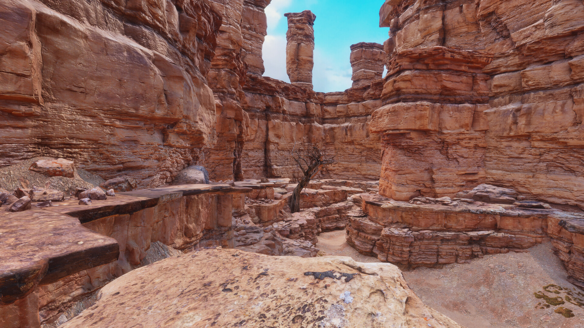 Nature for Clip maker #29