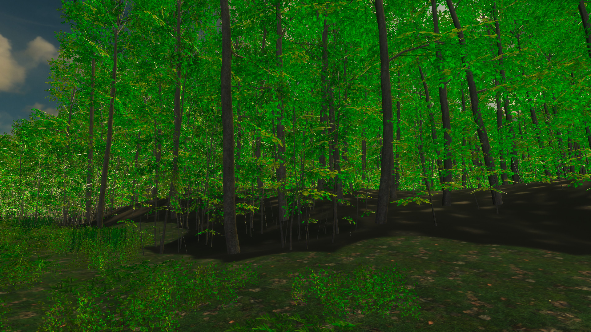 Nature for Clip maker #24