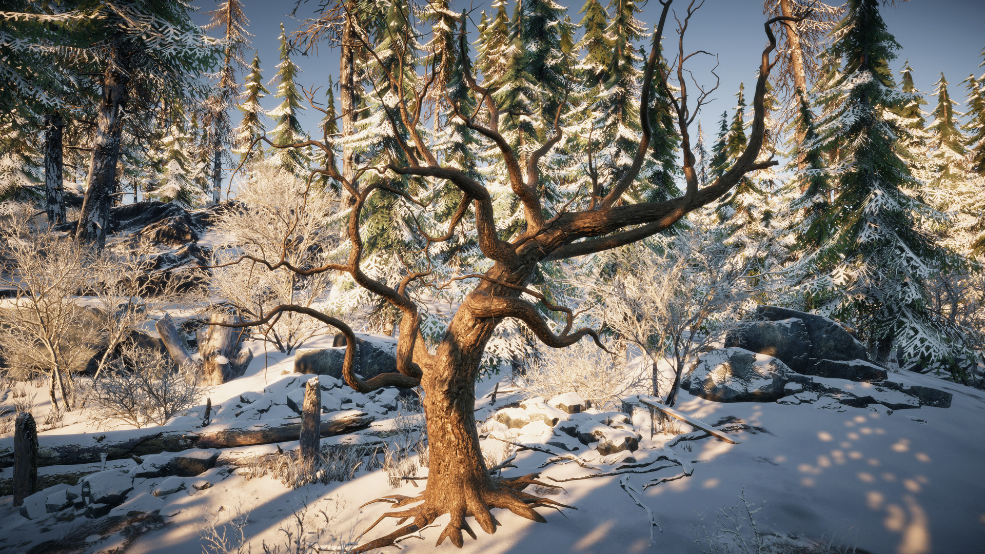 Nature for Clip maker #23