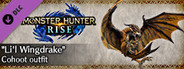 MONSTER HUNTER RISE - "Li'l Wingdrake" Cohoot outfit