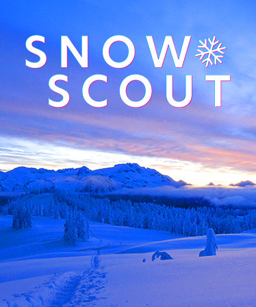 Snow Scout