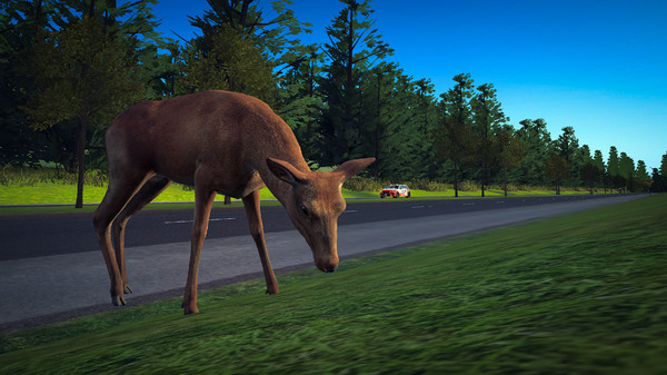 Street Sense game for Linux 1