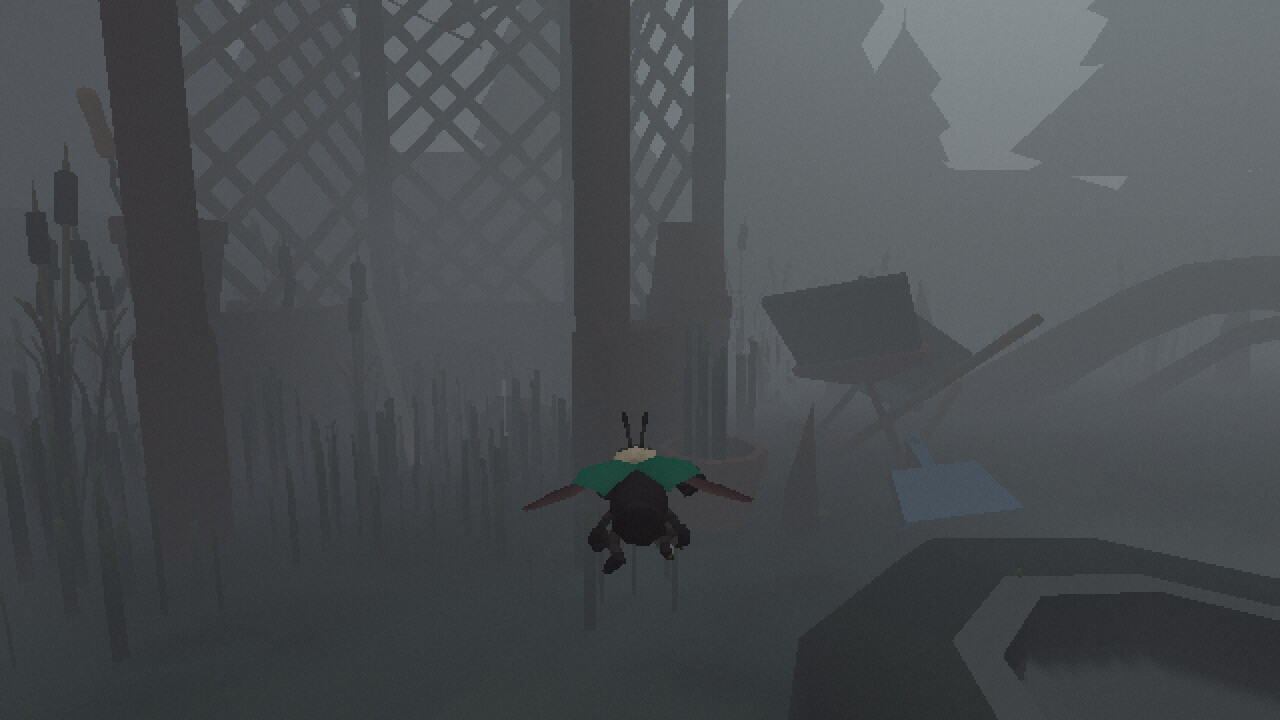 Live at Strummer's Pond #8