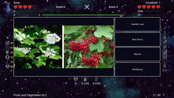 I've Seen Everything - More Fruits for steam I've Seen Everything - More Fruits for steam