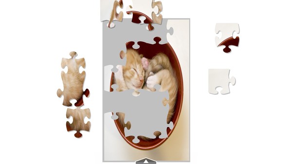 Pussy Palacefor windows and Linux 1