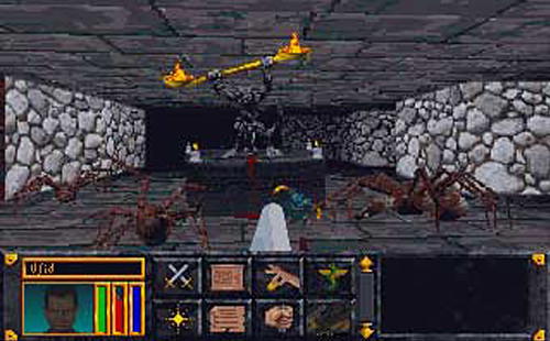 The Elder Scrolls: Arena screenshot 1