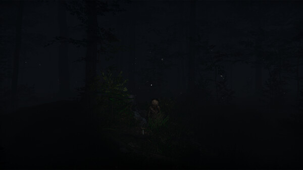 Surroundedfor windows and Linux 1