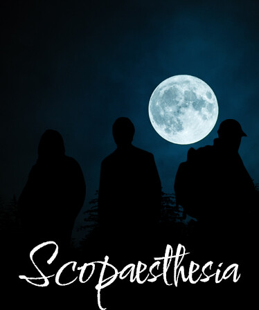 Scopaesthesia