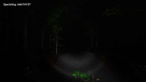 Scopaesthesiafor windows and Linux 1