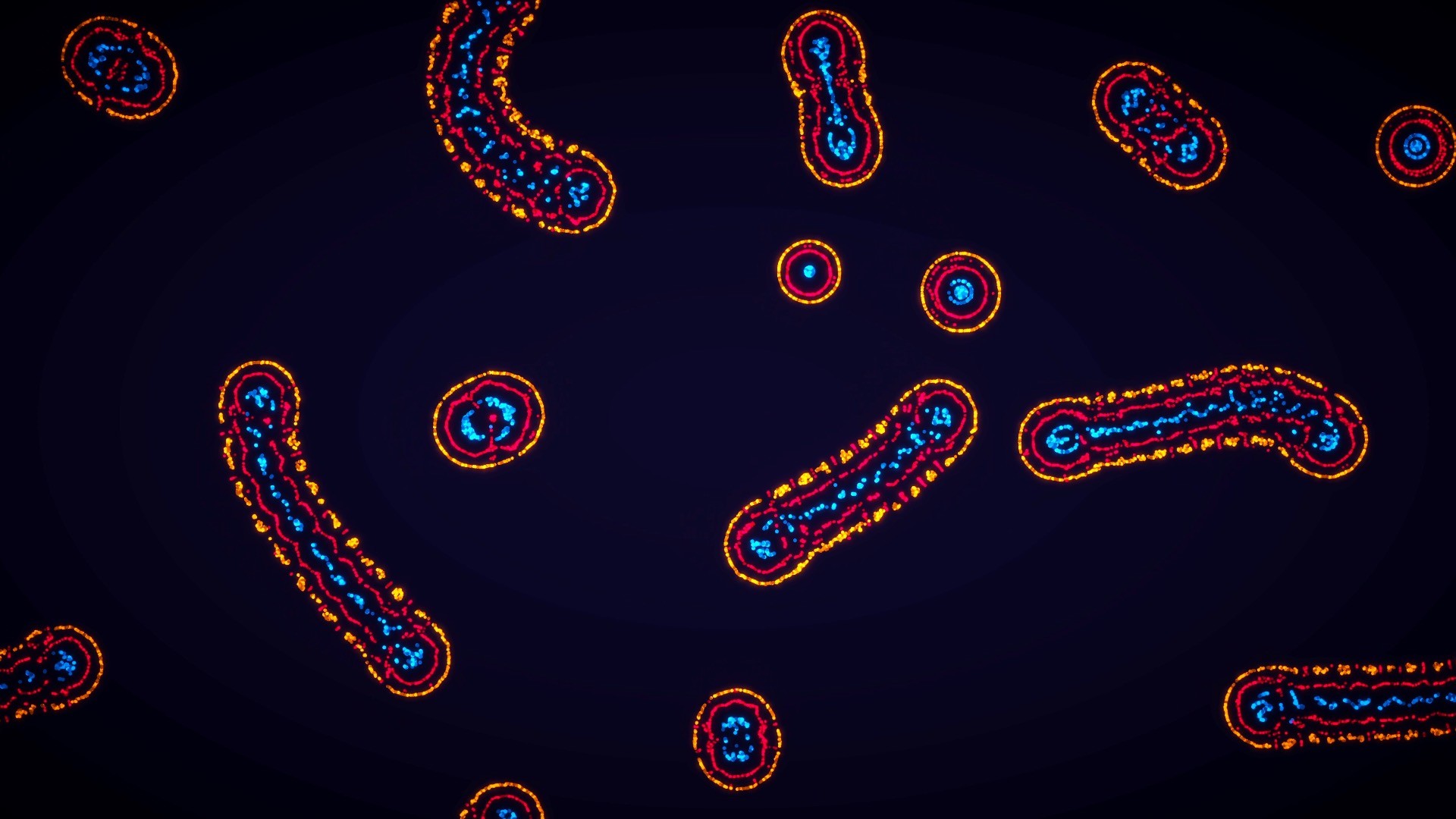 Parametric Creature: Lab #3