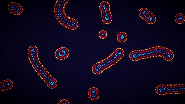 Parametric Creature: Lab game for windows Pc 1