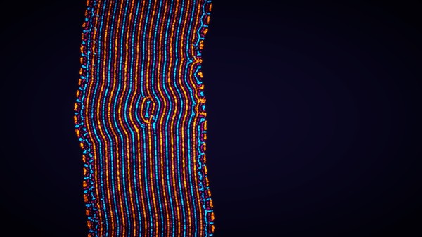Скриншот из Parametric Creature: Lab