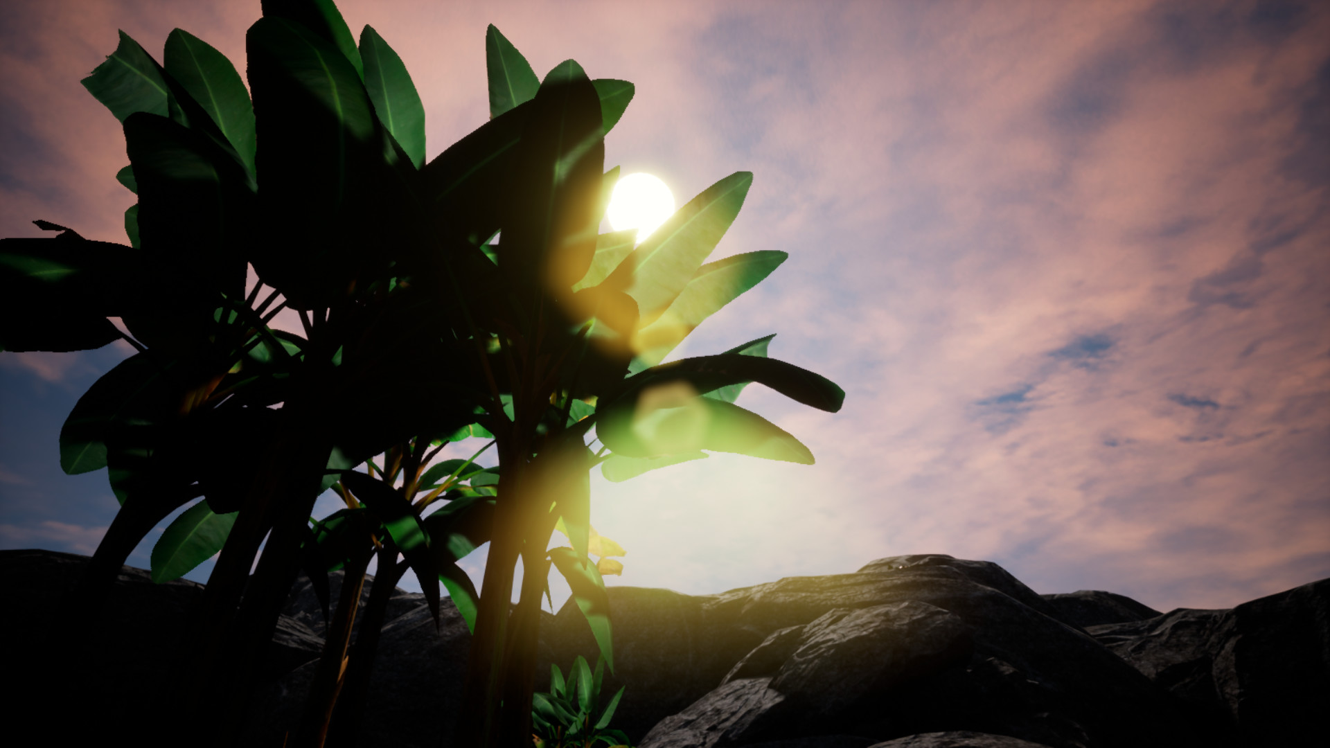 Nebula Complex: Survival #0