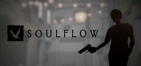 Soulflow Cover Image