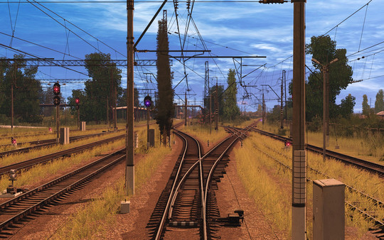 Trainz 2022 DLC - Rodnye Prostory Route