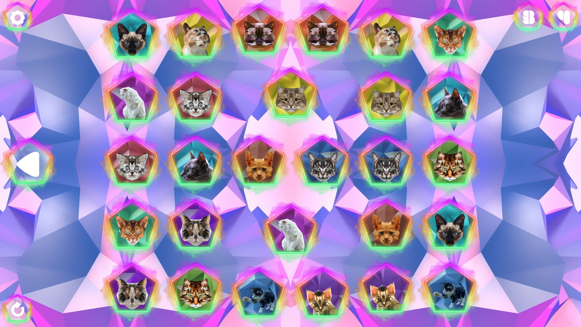 Poly Memory: Cats #0