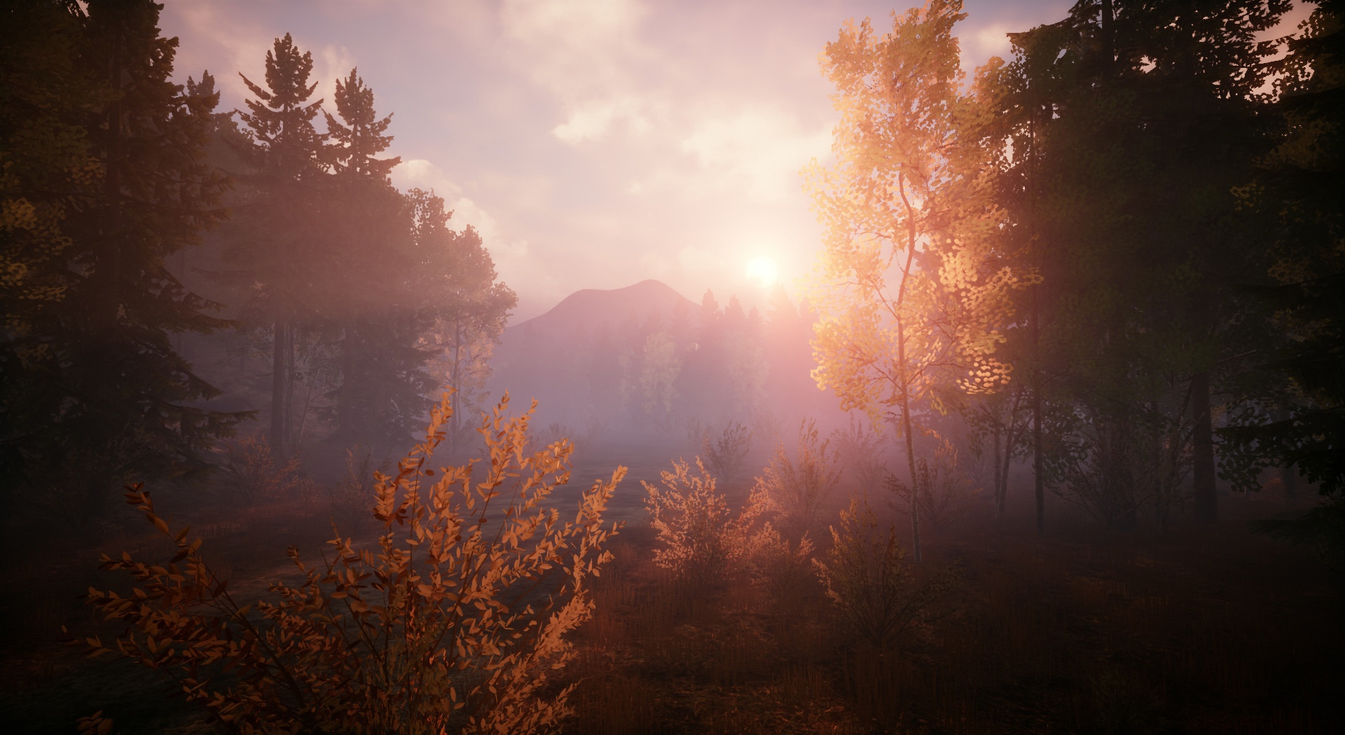 CHEMISTS: Area of infection #4