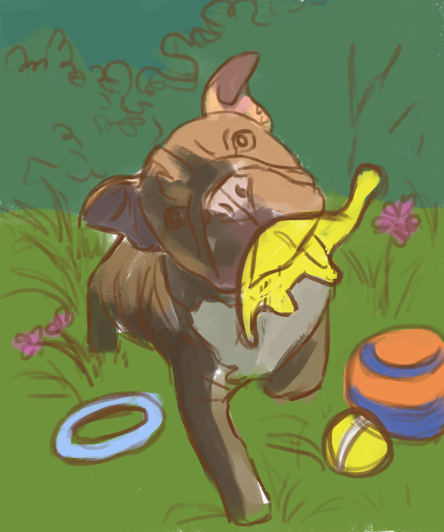 Cute Dogs - Digital Artbook + Bonus Videos #3