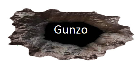 GUNZO! Cover Image