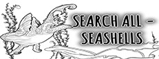 SEARCH ALL - SEASHELLS