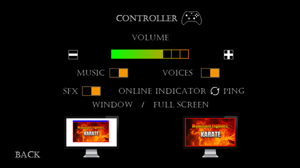 Скриншот из Maximum Fighterz: Direct Offensive Action