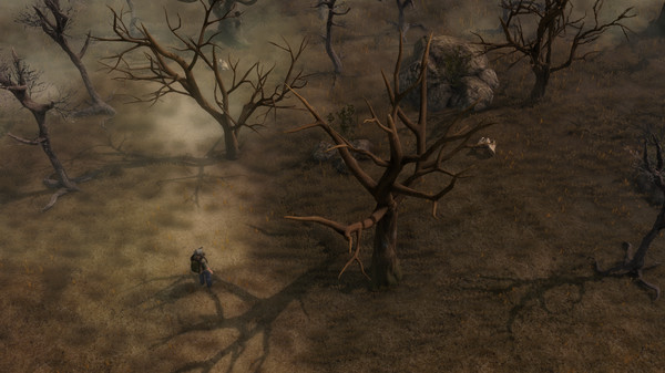 Скриншот из Tunguska: Ravenwood Stories