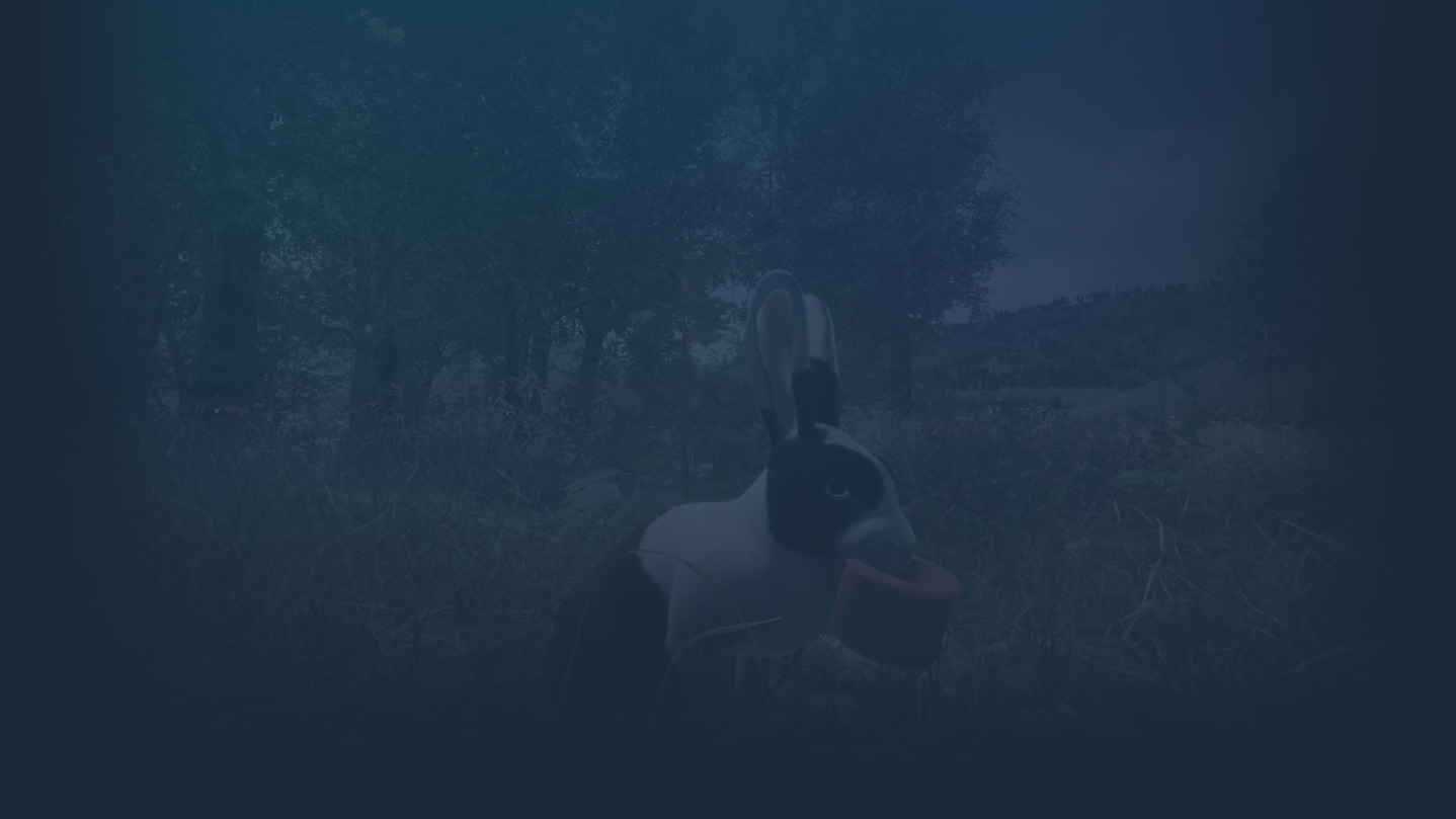Rabbit Meadow background