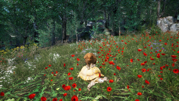Скриншот из Rabbit Meadow