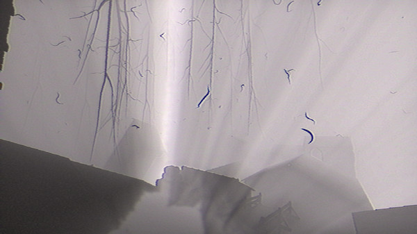 Our Elusive Sufferingfor windows and Linux 1