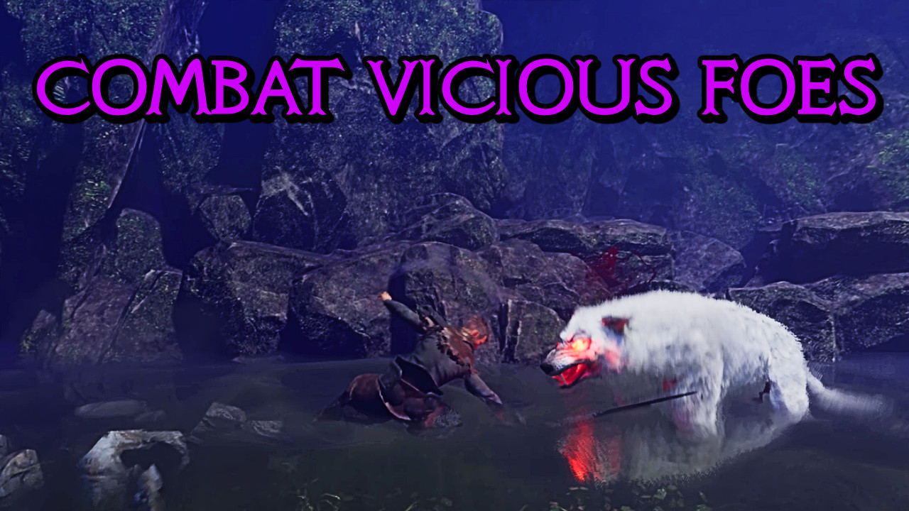 Knight of the Forgotten Realm #0