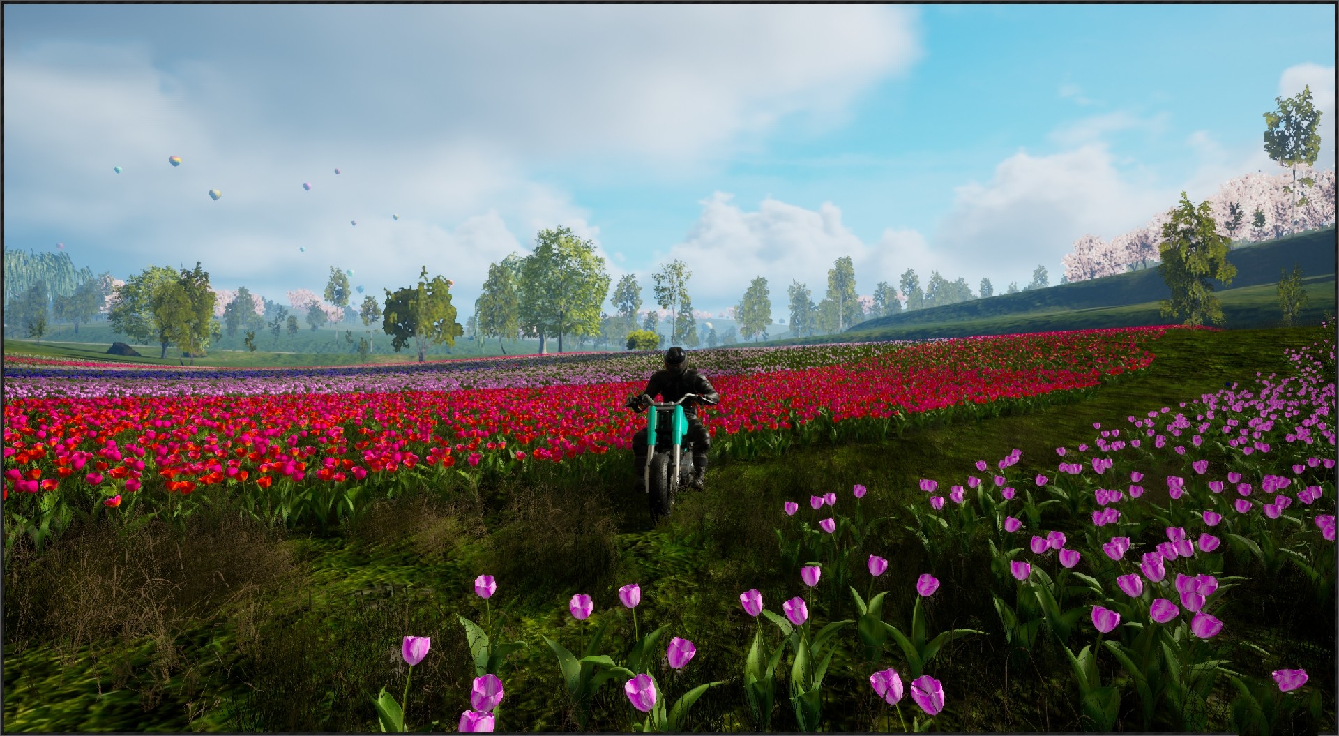 Motorcycle Travel Simulator #58